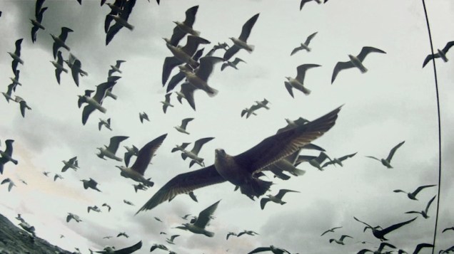 6_wide-dd913d033a8b0dc7b6ed797043a4cc7083a114d2