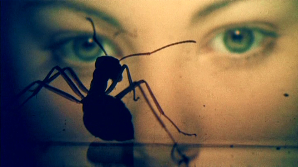 tumblr_nj1lq6rjYy1qa0uc2o8_1280