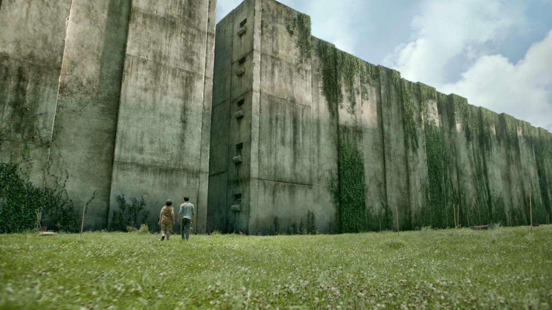 walls of the maze